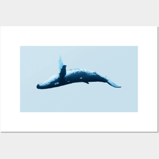 Humpback Whale Posters and Art